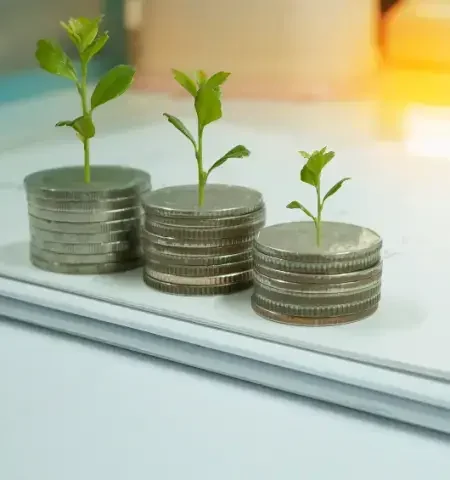 Plants growing from coin stacks symbolizing investment growth.